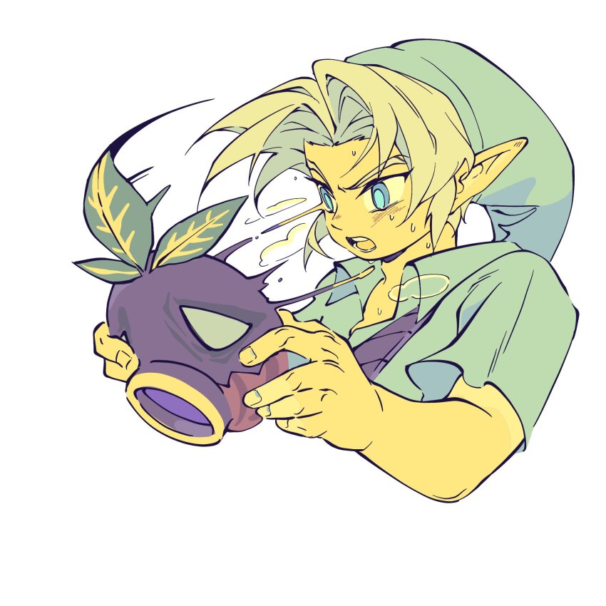 Link (Nintendo) Rule 34 Image
