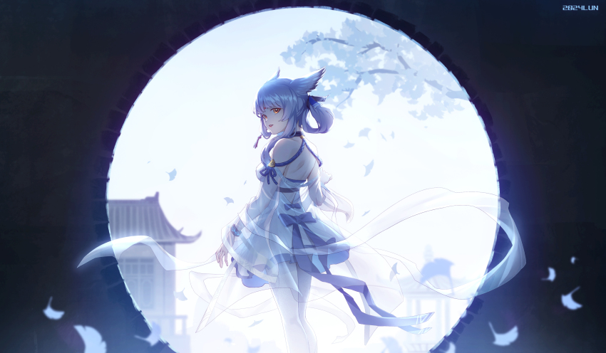 Ptilopsis (Arknights) Rule 34 Image