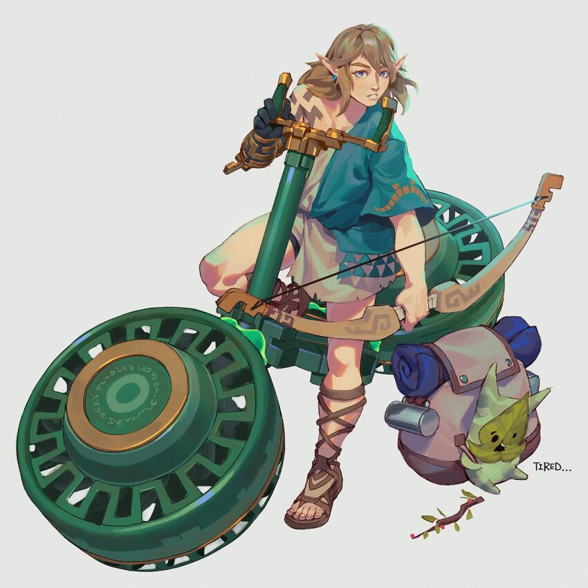 Link (Nintendo) Rule 34 Image