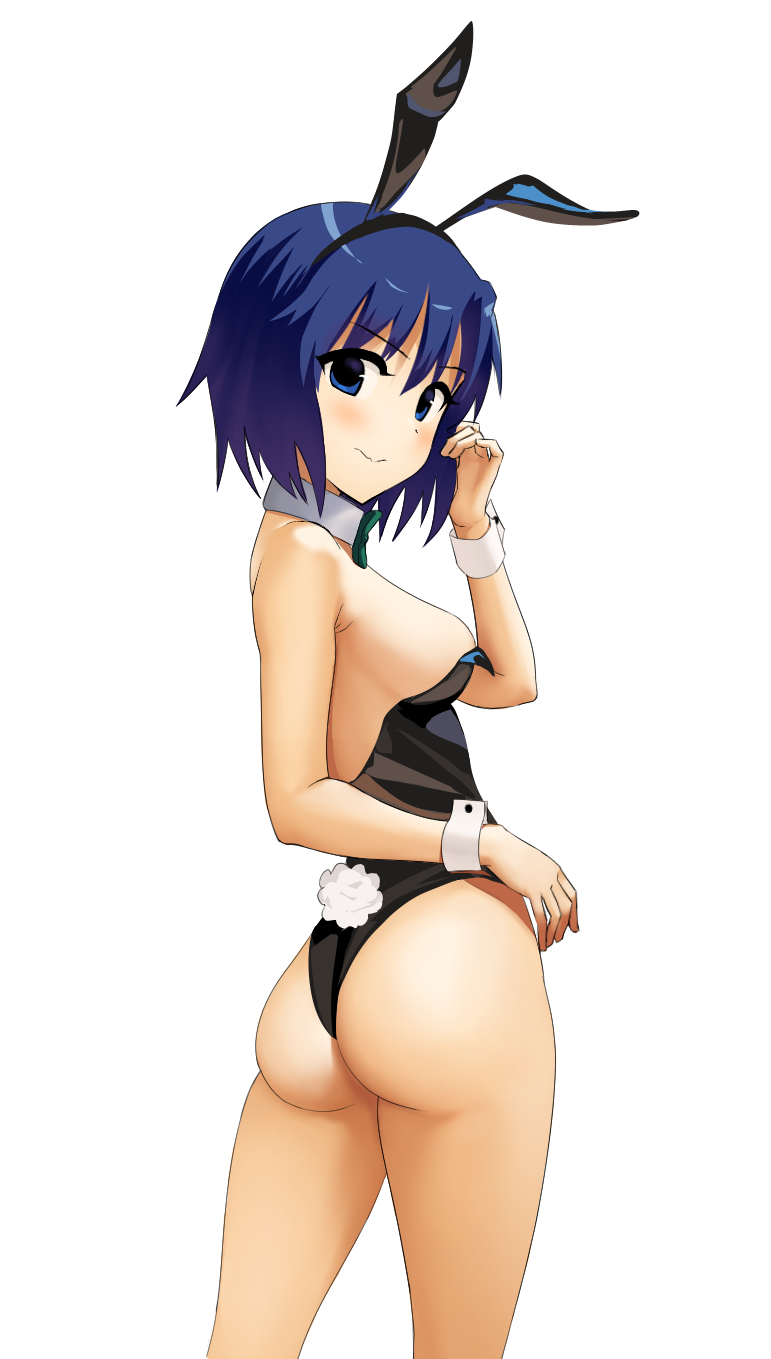 Ciel (Tsukihime) Rule 34 Image