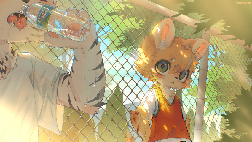 Original Rule 34 Image