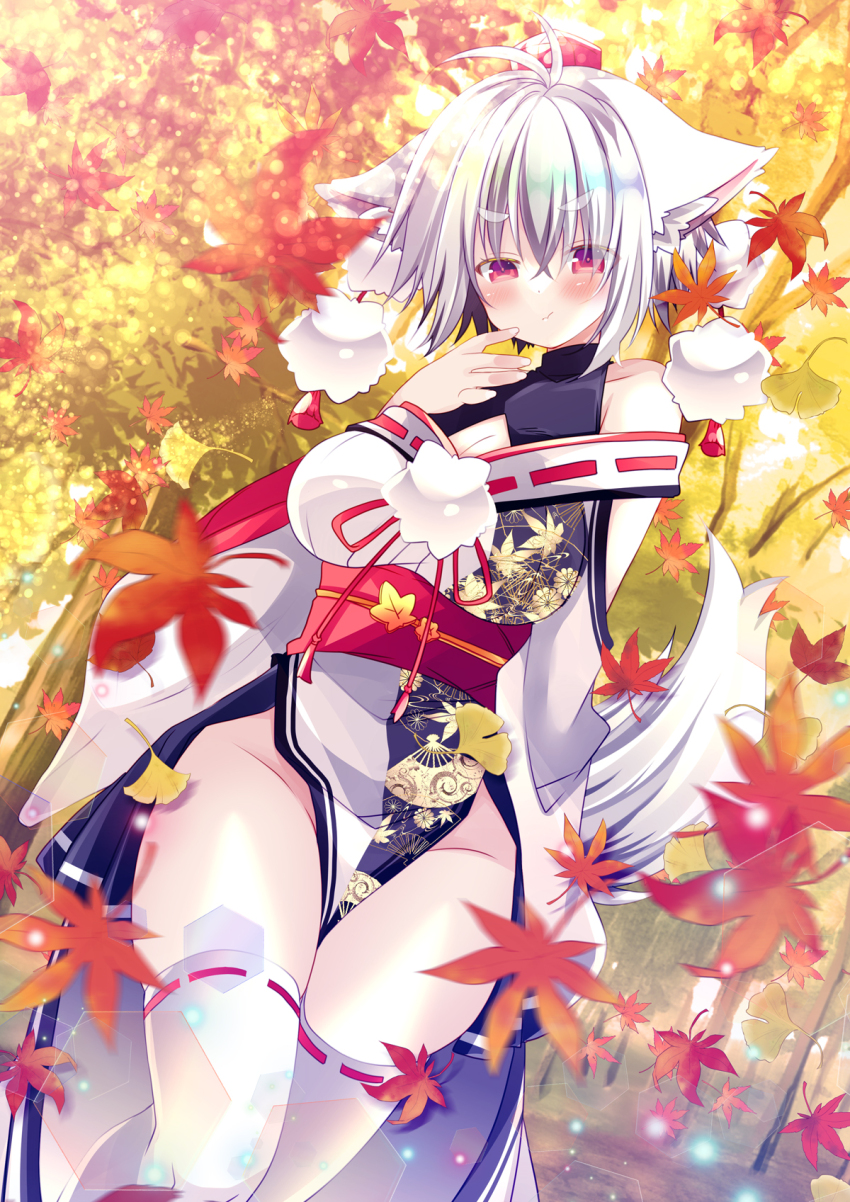 Inubashiri Momiji (Touhou) Rule 34 Image
