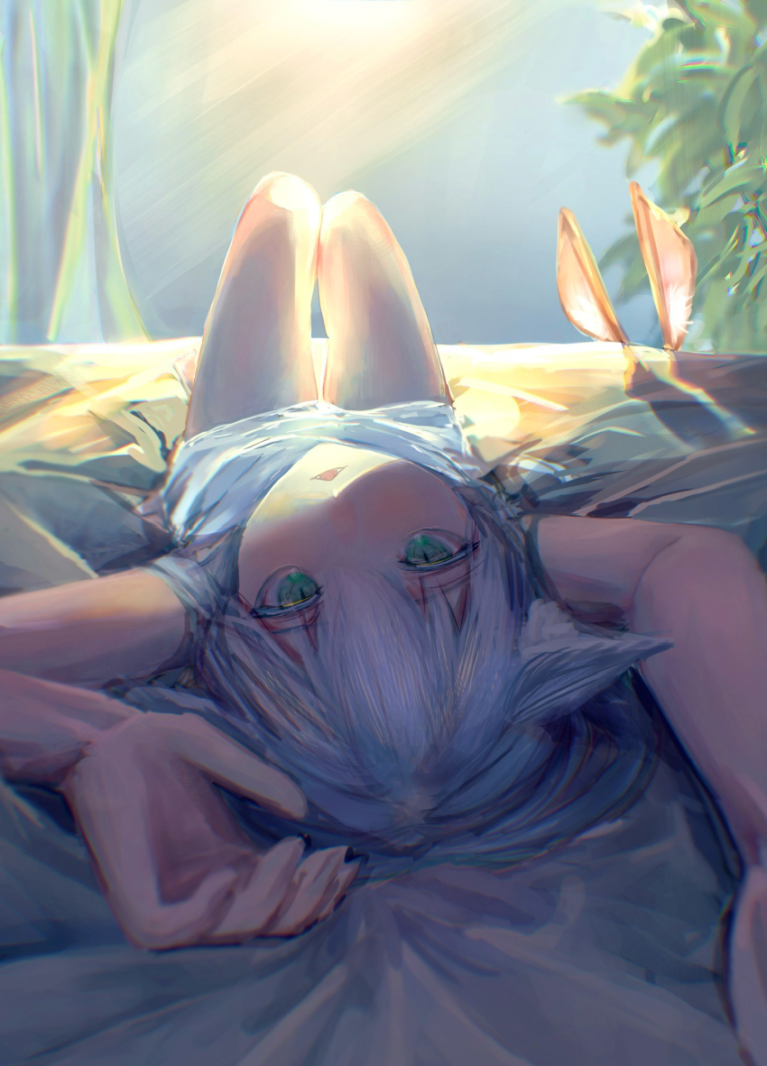 Amiya (Arknights) Rule 34 Image