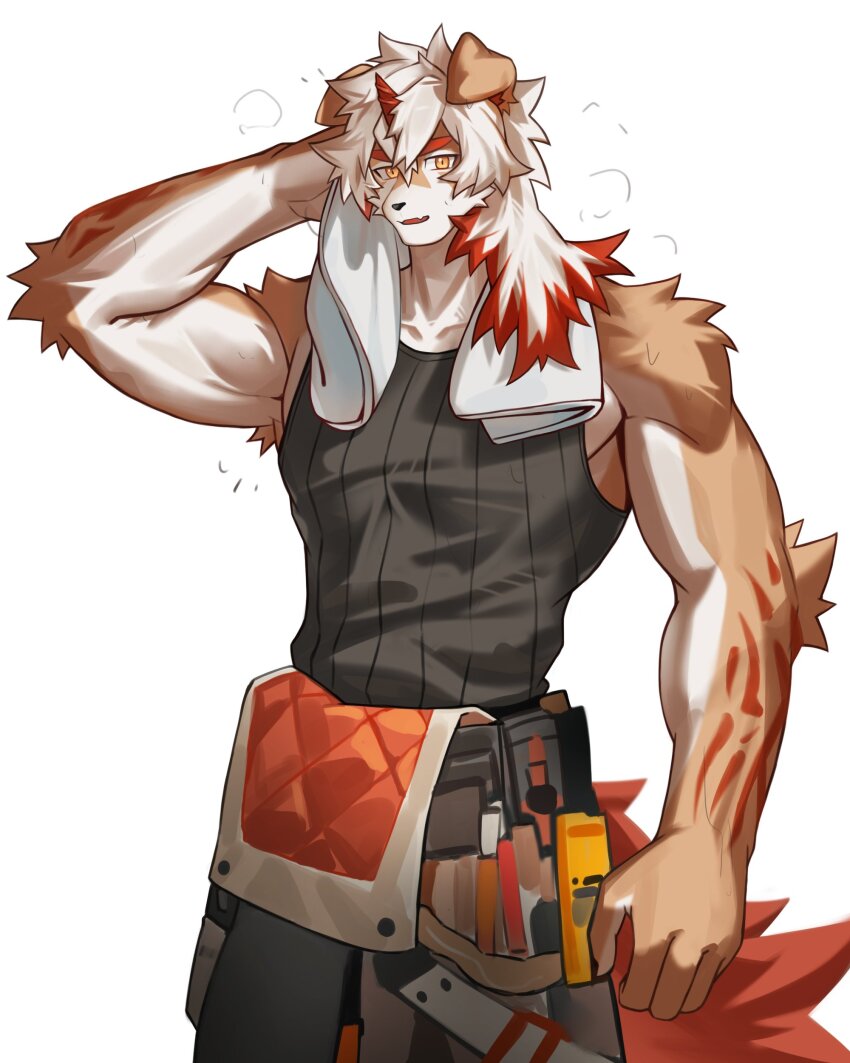 Hung (Arknights) Rule 34 Image