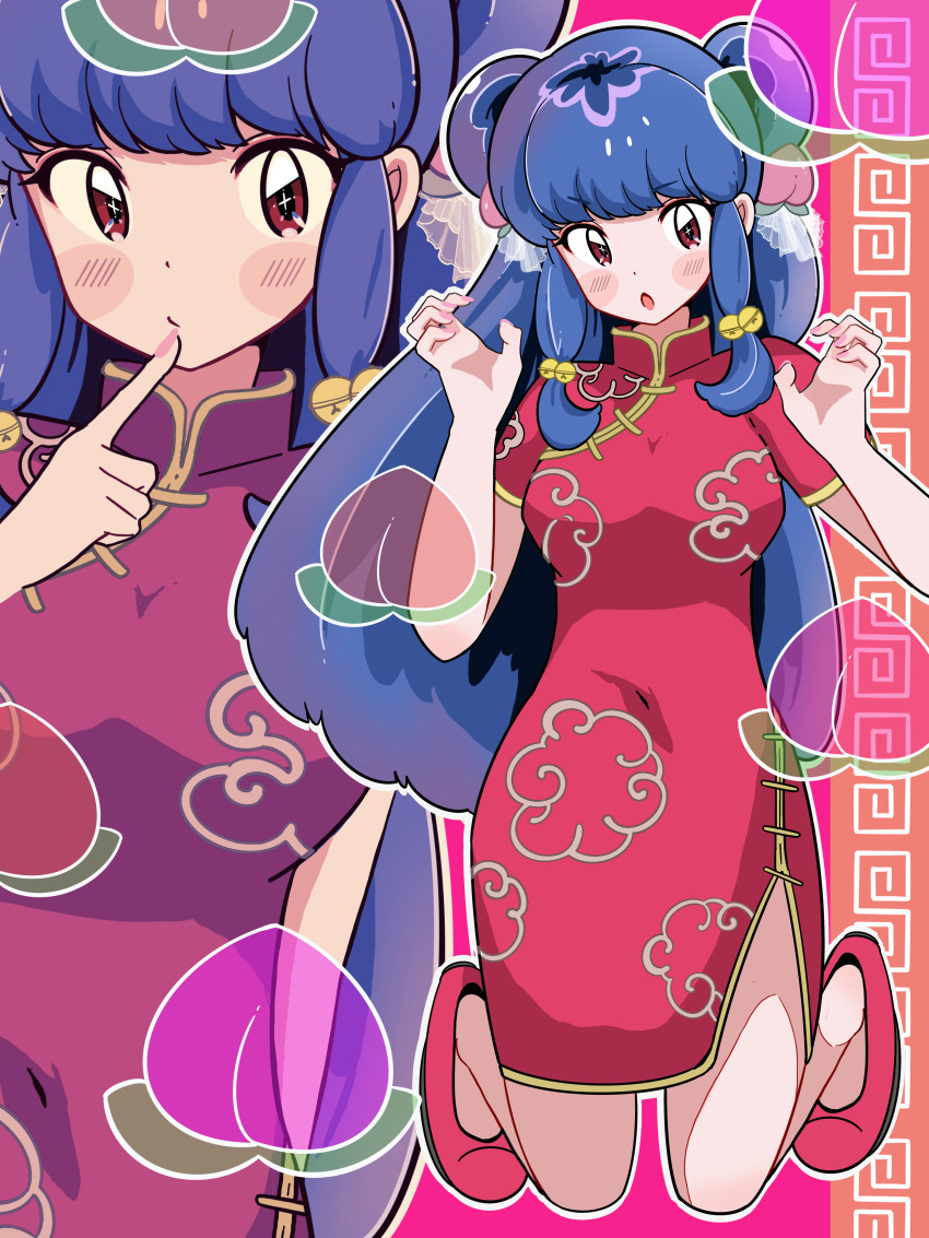 Shampoo (Ranma 1/2) Rule 34 Image