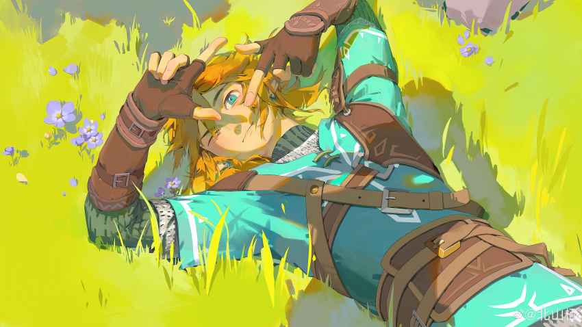 Link (Nintendo) Rule 34 Image