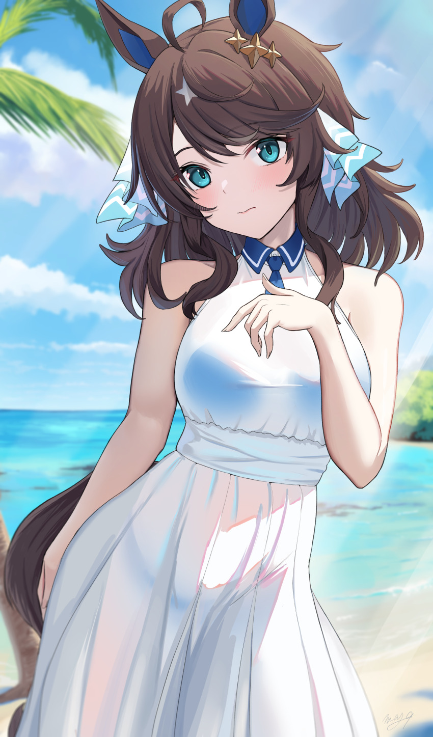 Daring Tact (Umamusume) Rule 34 Image