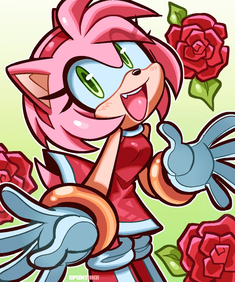 Amy Rose (Sonic (Series)) Rule 34 Image