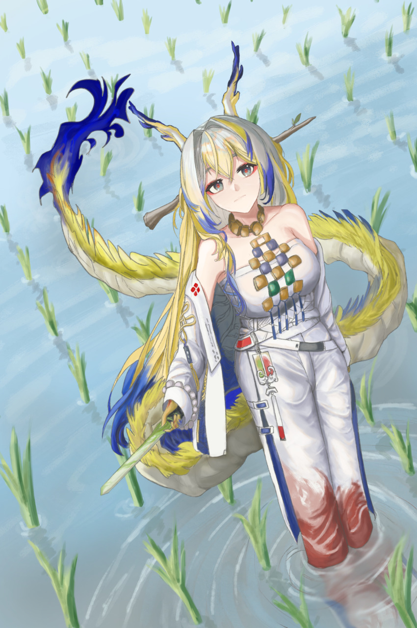 Shu (Arknights) Rule 34 Image