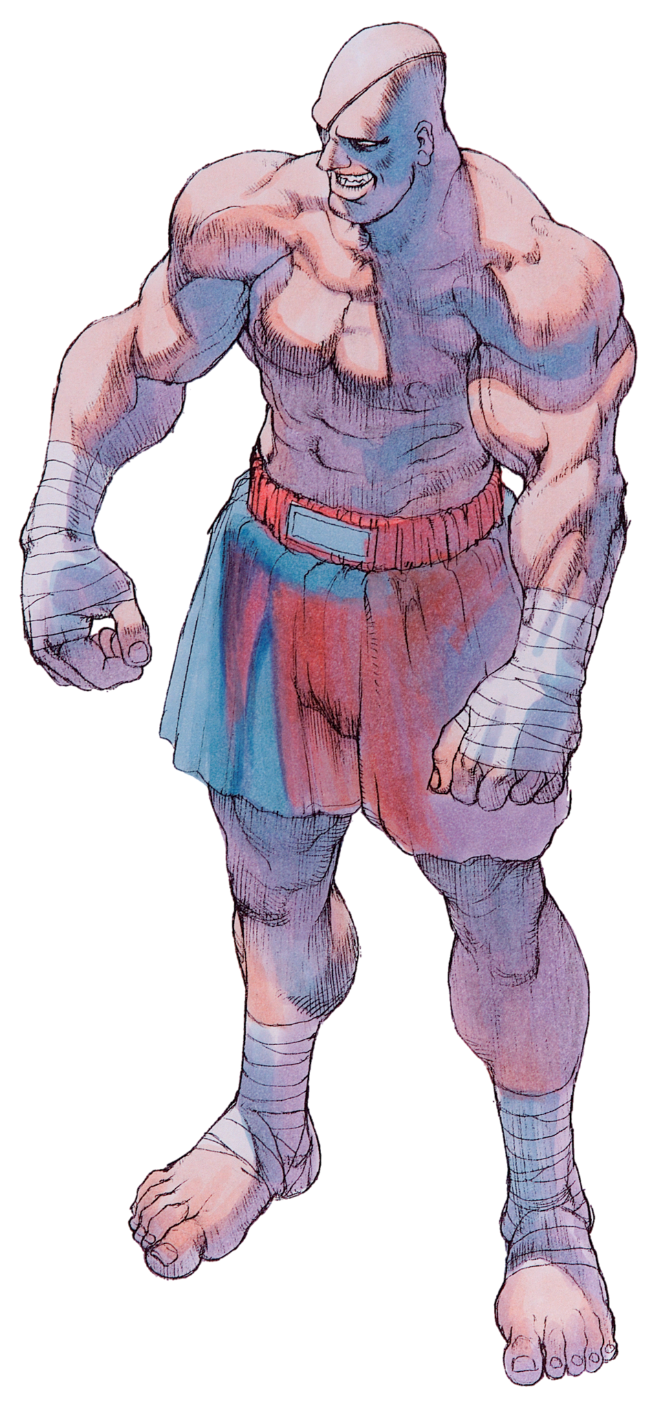 Sagat (Capcom) Rule 34 Image