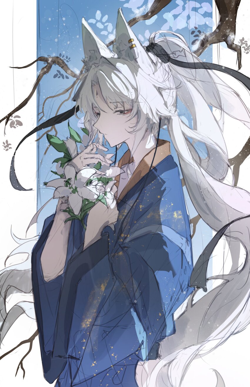 Feixiao (Honkai: Star Rail) Rule 34 Image