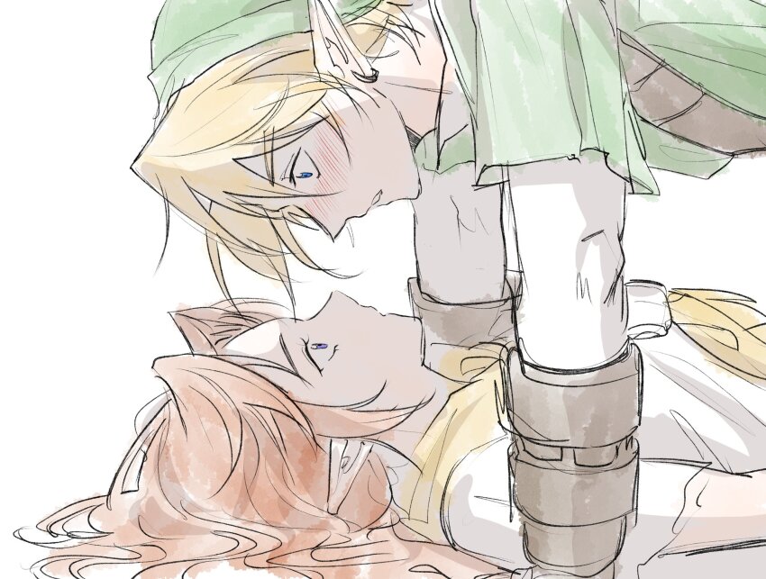 Link (Nintendo) Rule 34 Image
