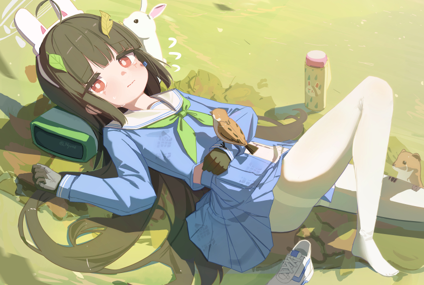 Miyu (Blue Archive) Rule 34 Image