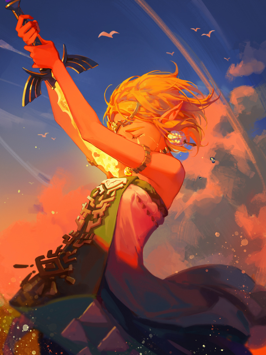 Princess Zelda (Nintendo) Rule 34 Image