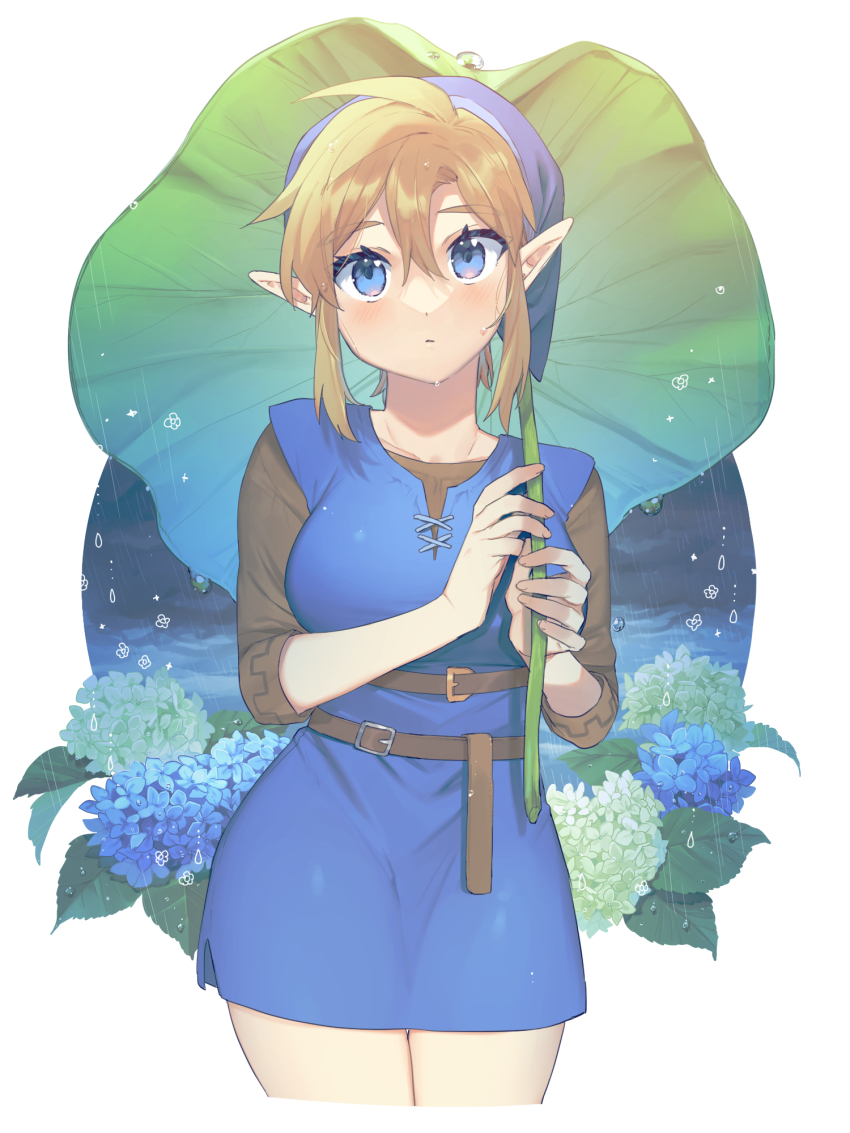 Link (Nintendo) Rule 34 Image