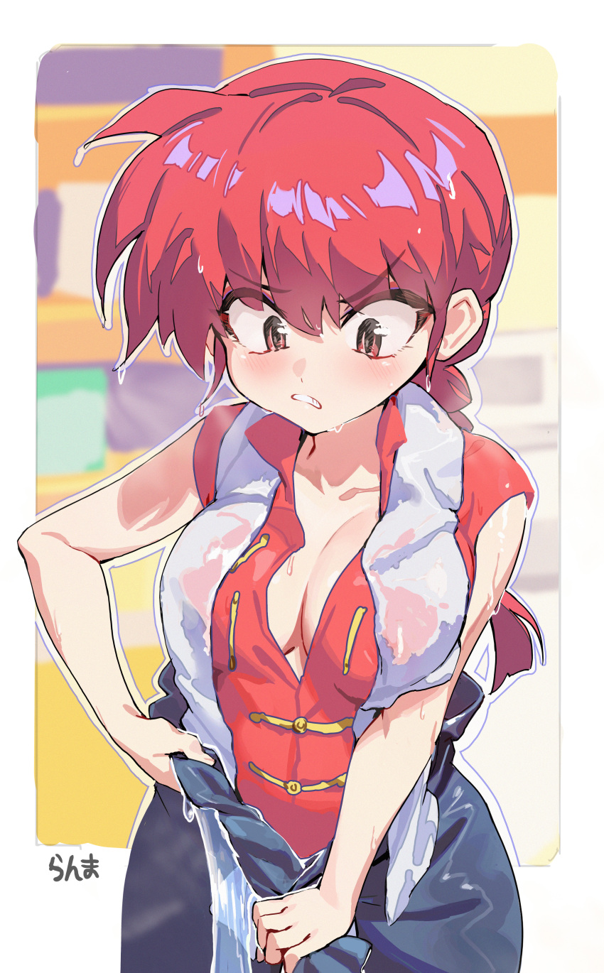 Ranma-Chan (Ranma 1/2) Rule 34 Image