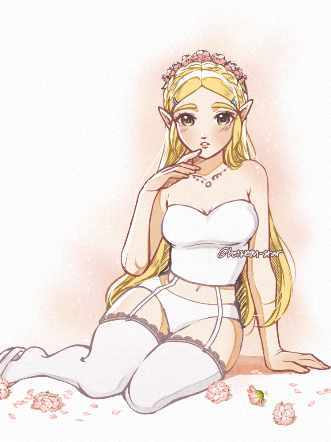 Princess Zelda (Nintendo) Rule 34 Image