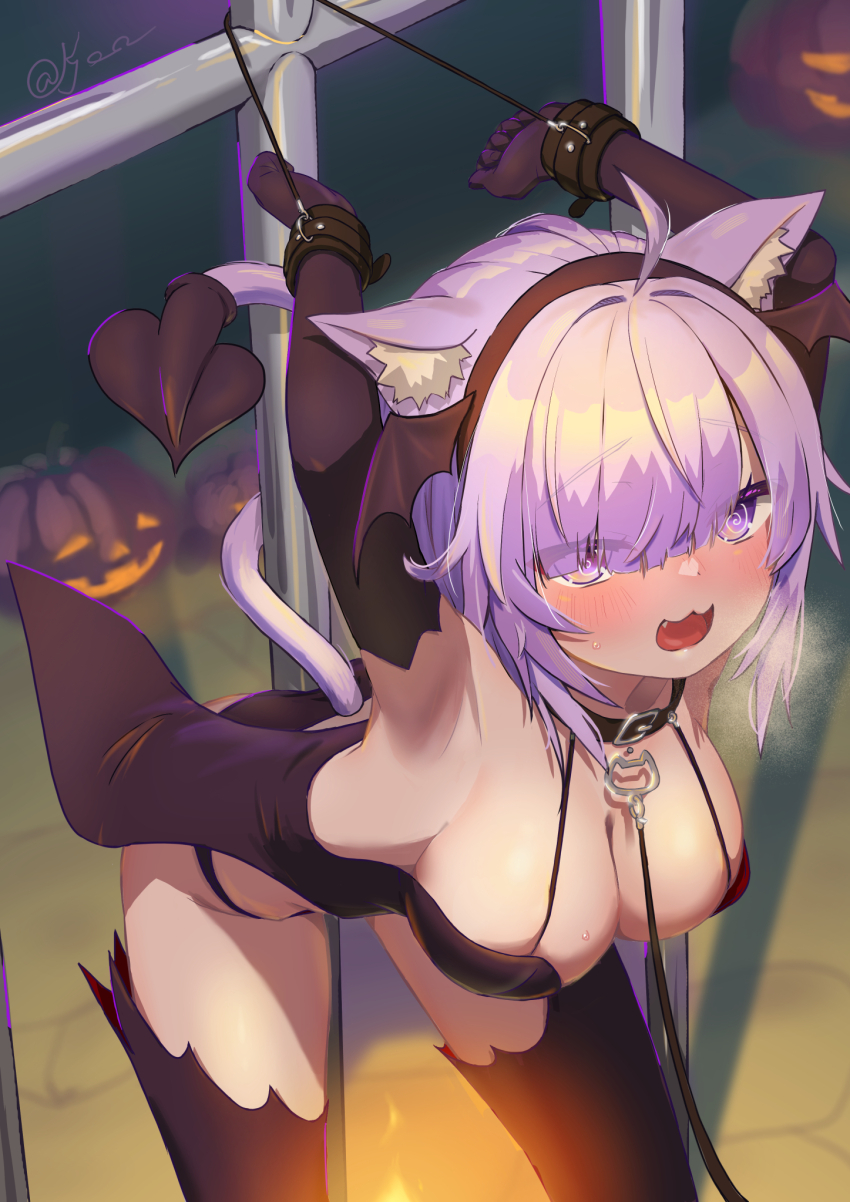 Nekomata Okayu (Hololive) Rule 34 Image