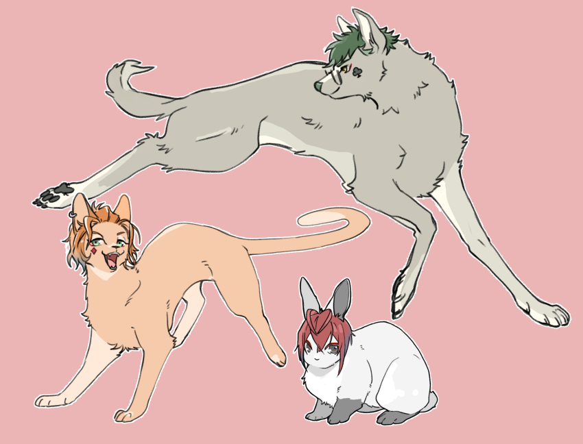 Riddle Rosehearts (Twisted Wonderland) Rule 34 Image
