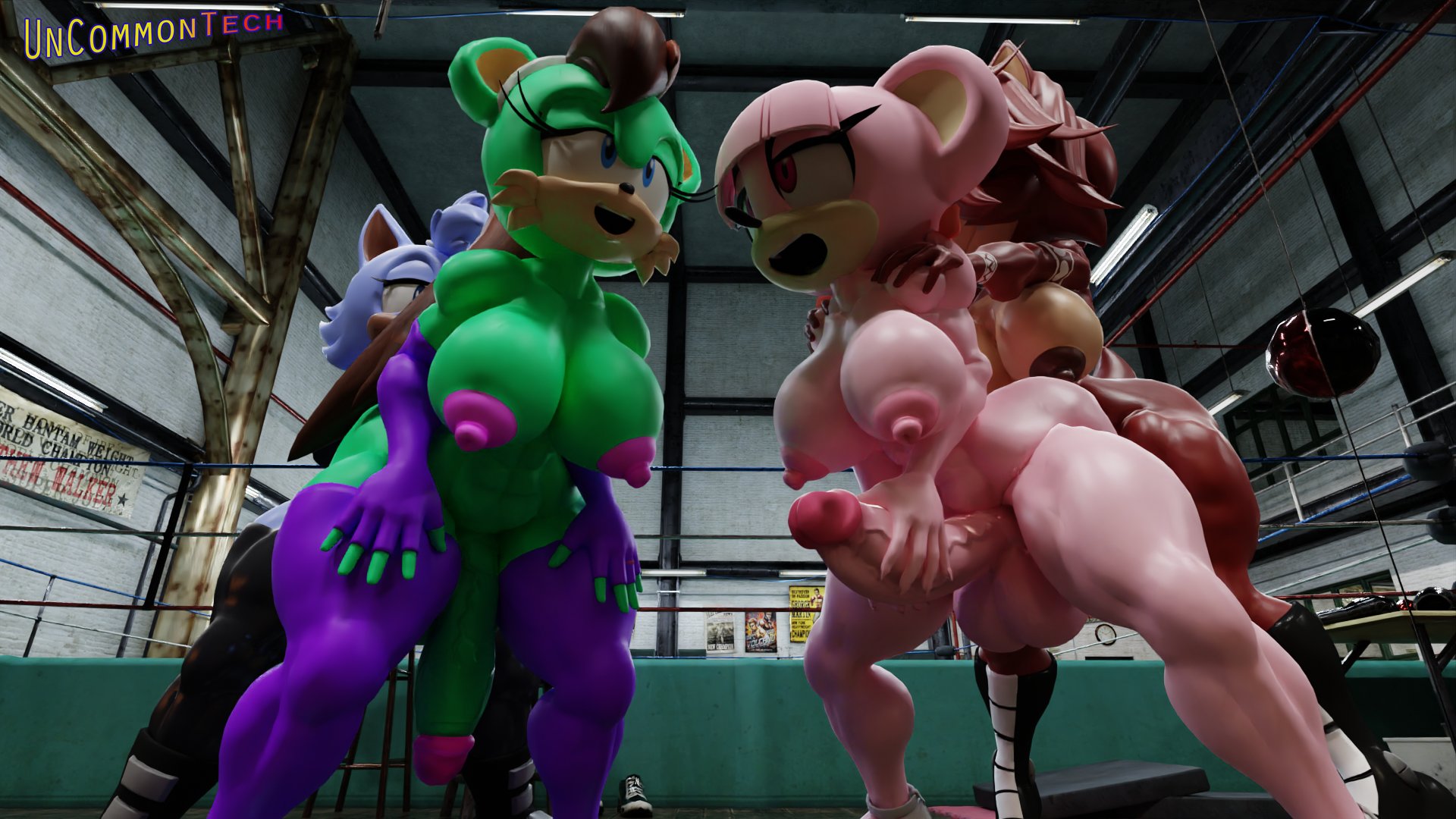 Fan Character (Sonic (Series)) Rule 34 Image