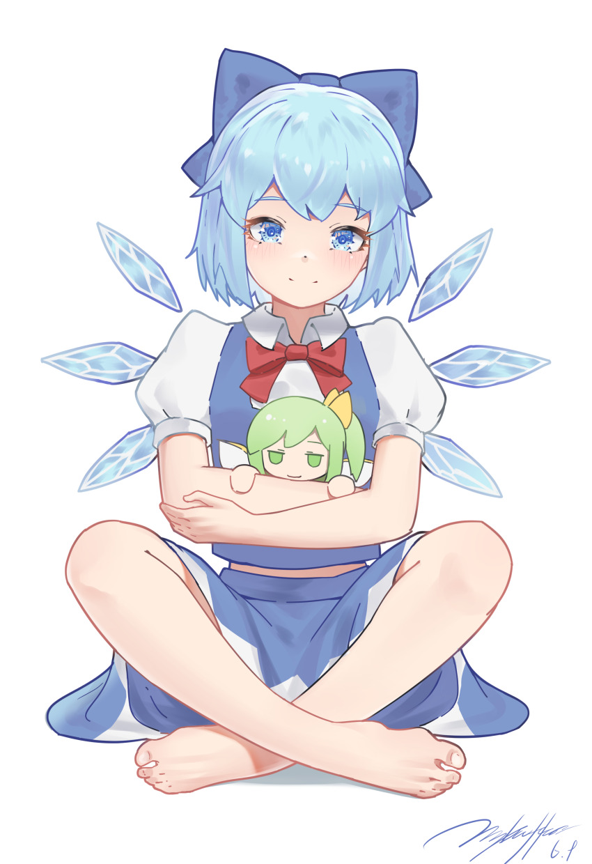Cirno (Fumo (Doll)) Rule 34 Image