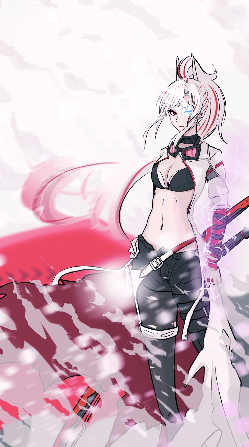 Punishing: Gray Raven Rule 34 Image