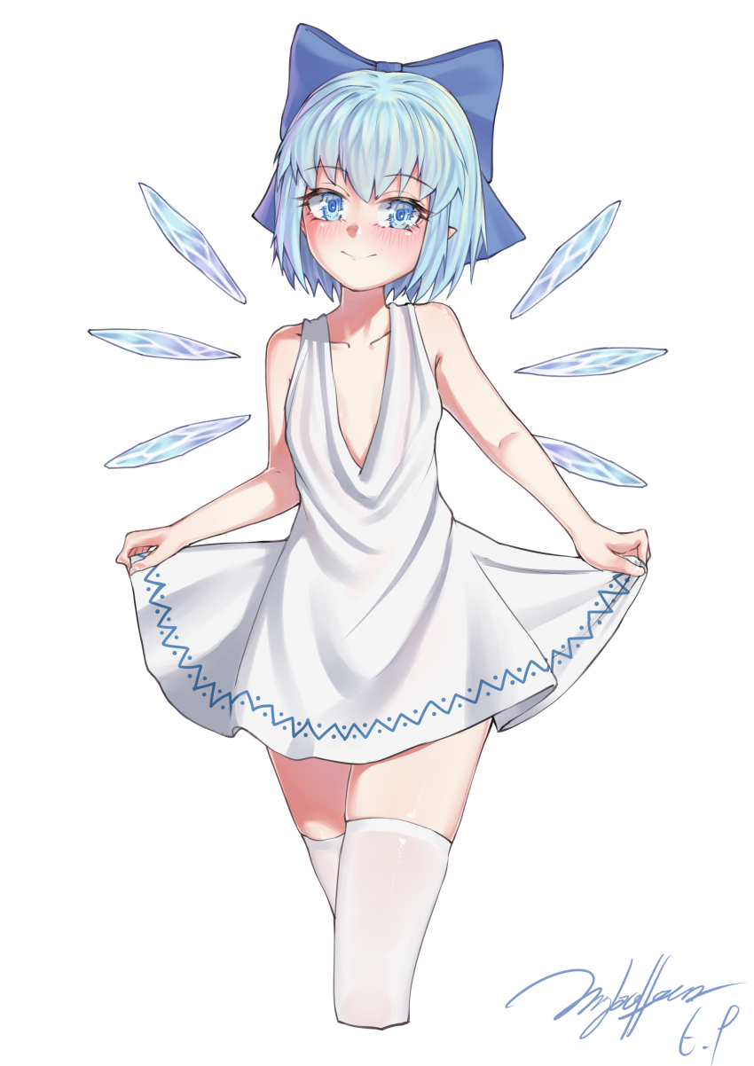 Cirno (Touhou) Rule 34 Image