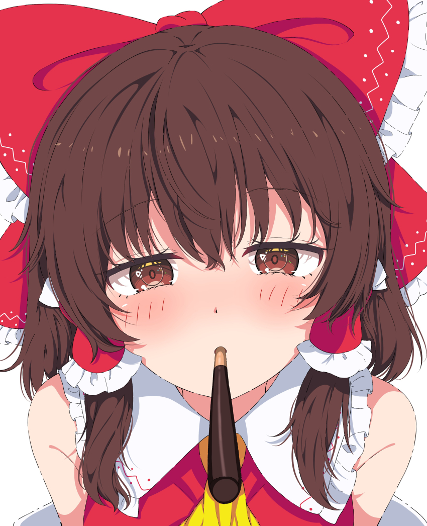 Hakurei Reimu (Pocky) Rule 34 Image
