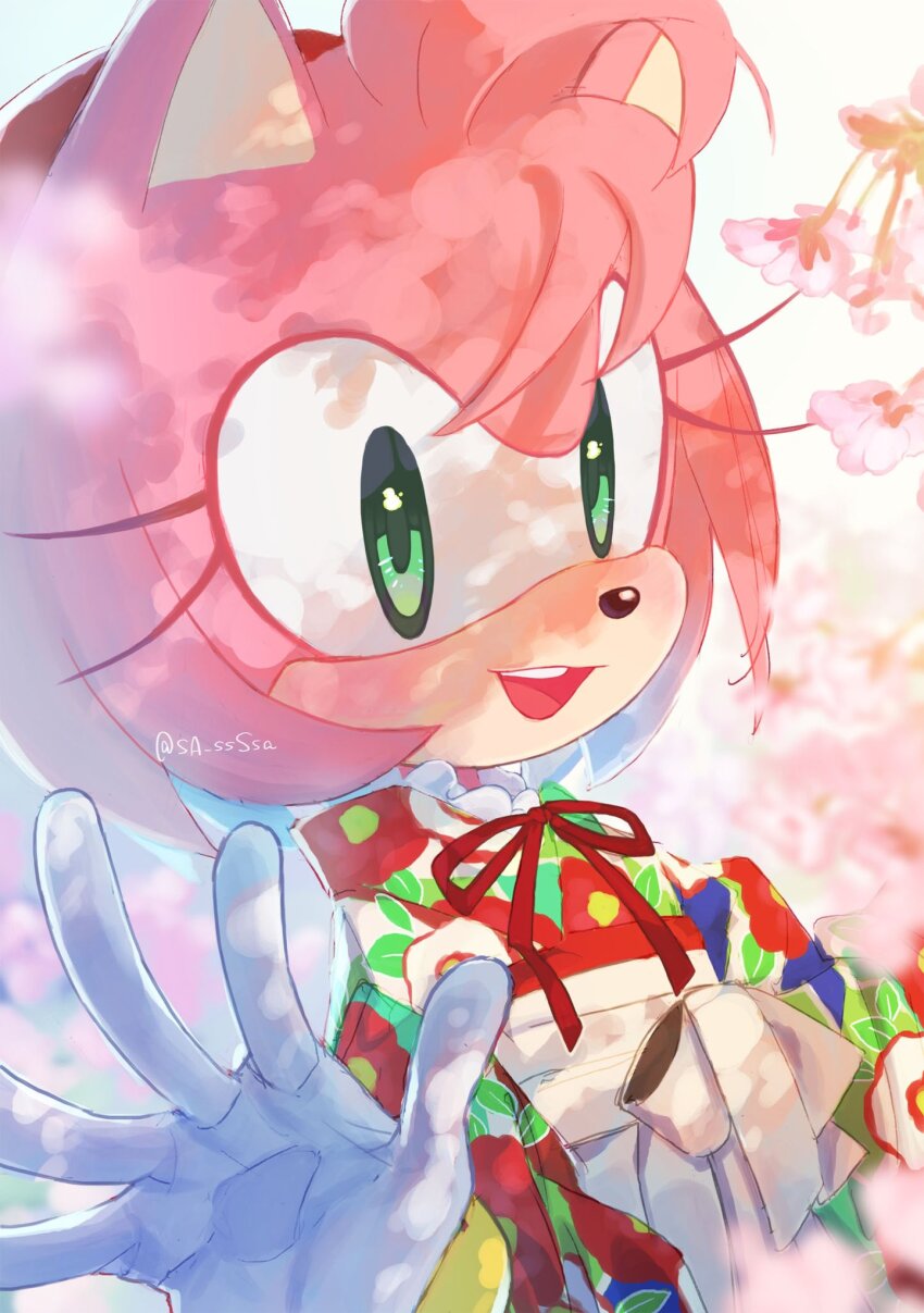 Amy Rose (Sonic (Series)) Rule 34 Image