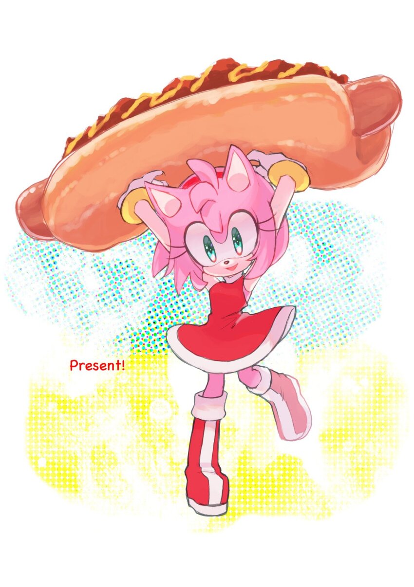 Amy Rose (Sonic (Series)) Rule 34 Image