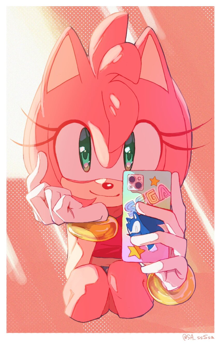 Amy Rose (Sonic (Series)) Rule 34 Image