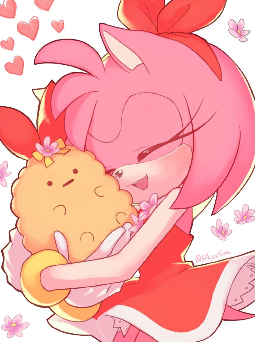 Amy Rose (Sonic (Series)) Rule 34 Image