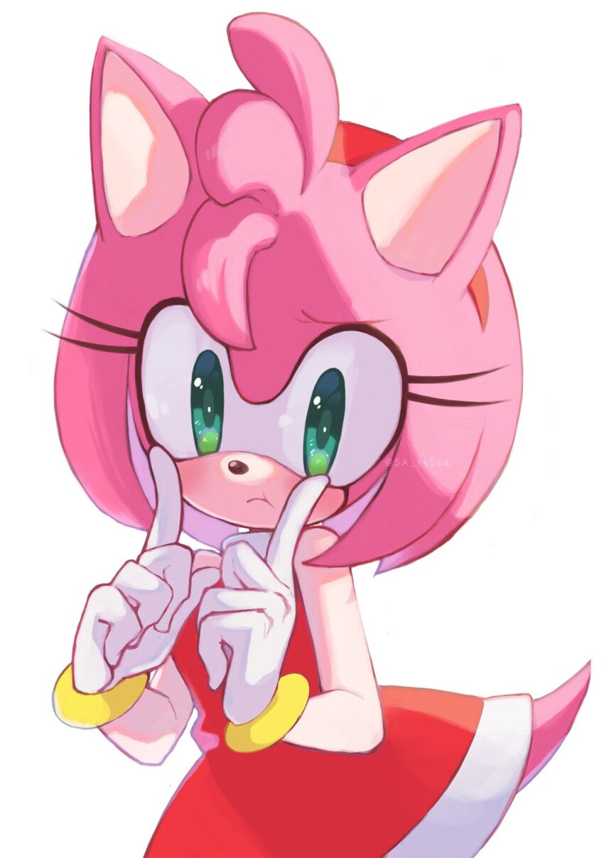 Amy Rose (Sonic (Series)) Rule 34 Image