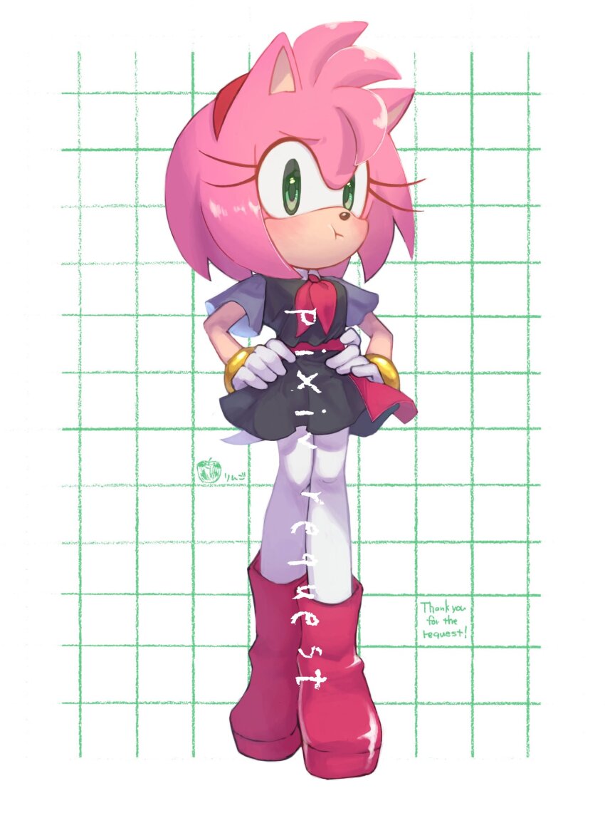 Amy Rose (Sonic (Series)) Rule 34 Image