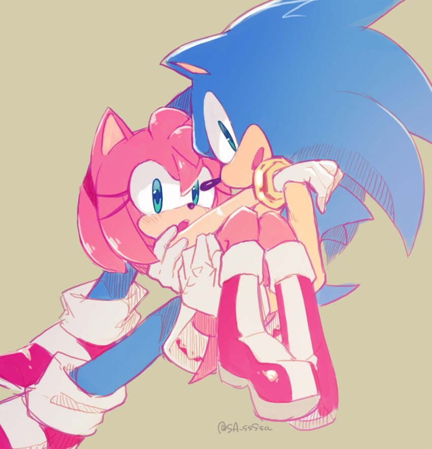 Amy Rose (Sonic (Series)) Rule 34 Image