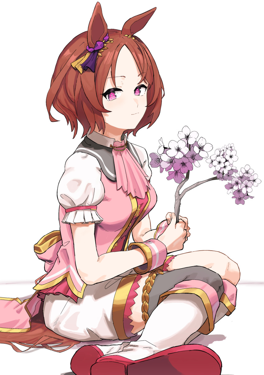 Sakura Laurel (Umamusume) Rule 34 Image
