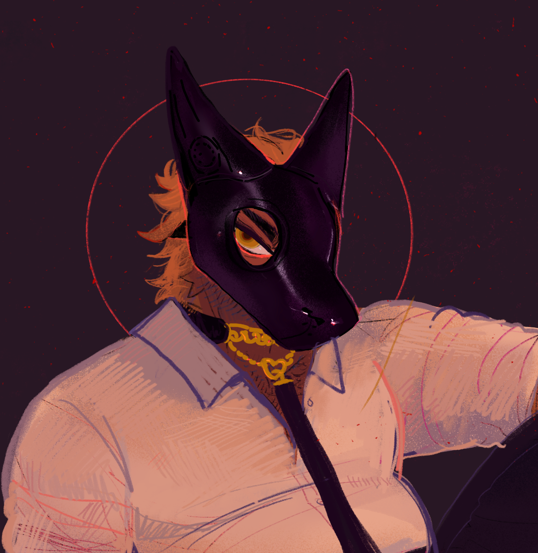 Coyote Rule 34 Image