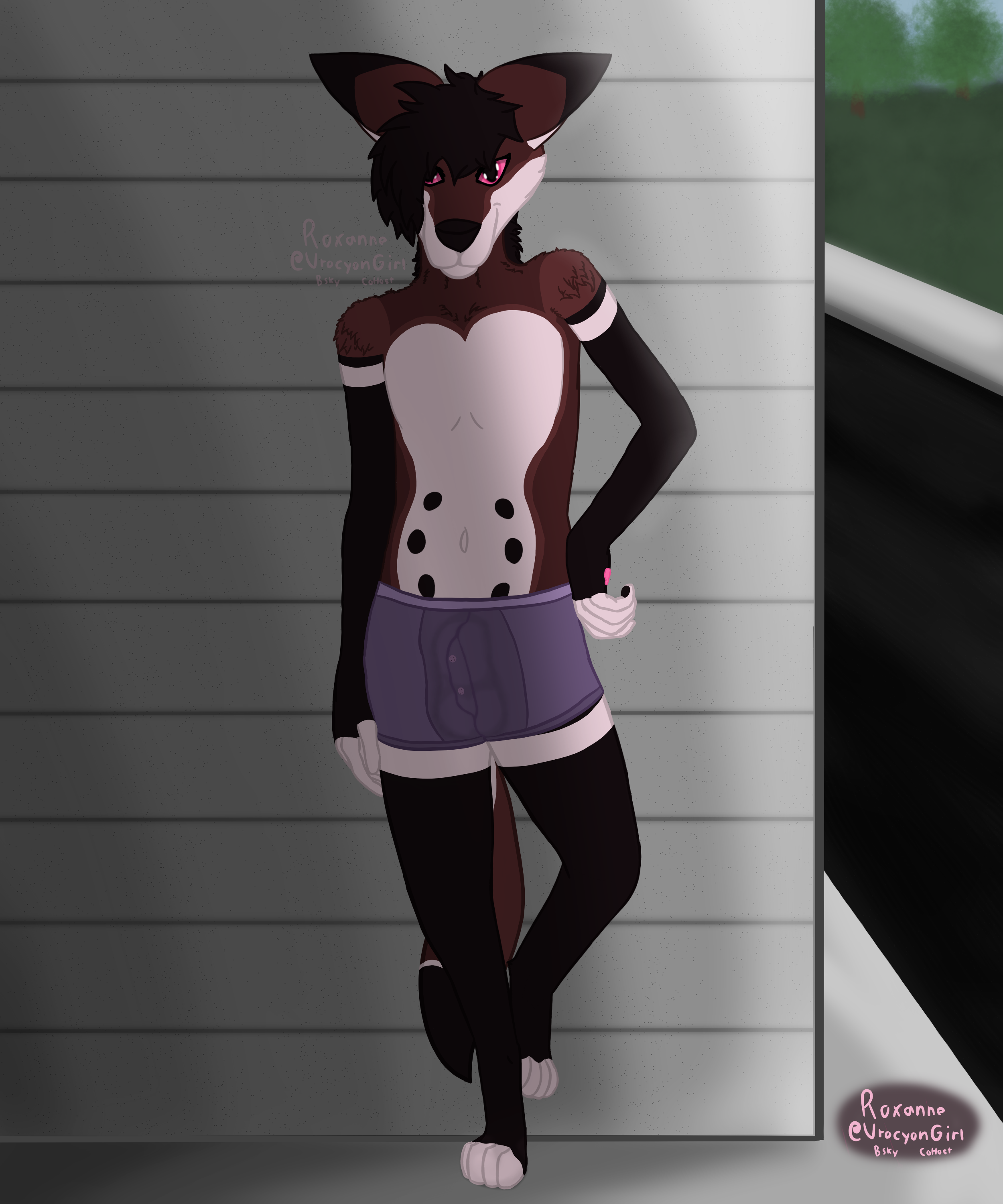 Boxers (Clothing) Rule 34 Image