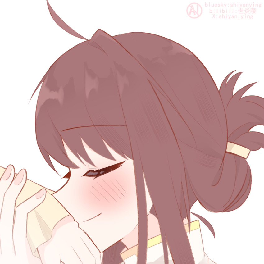 Brown Hair Rule 34 Image