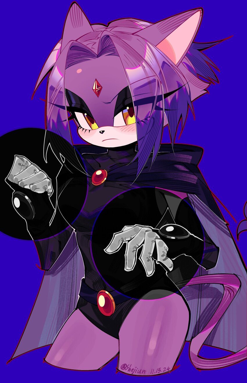 Blaze The Cat (Sonic (Series)) Rule 34 Image