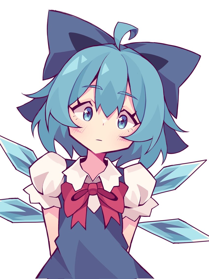Cirno (Touhou) Rule 34 Image