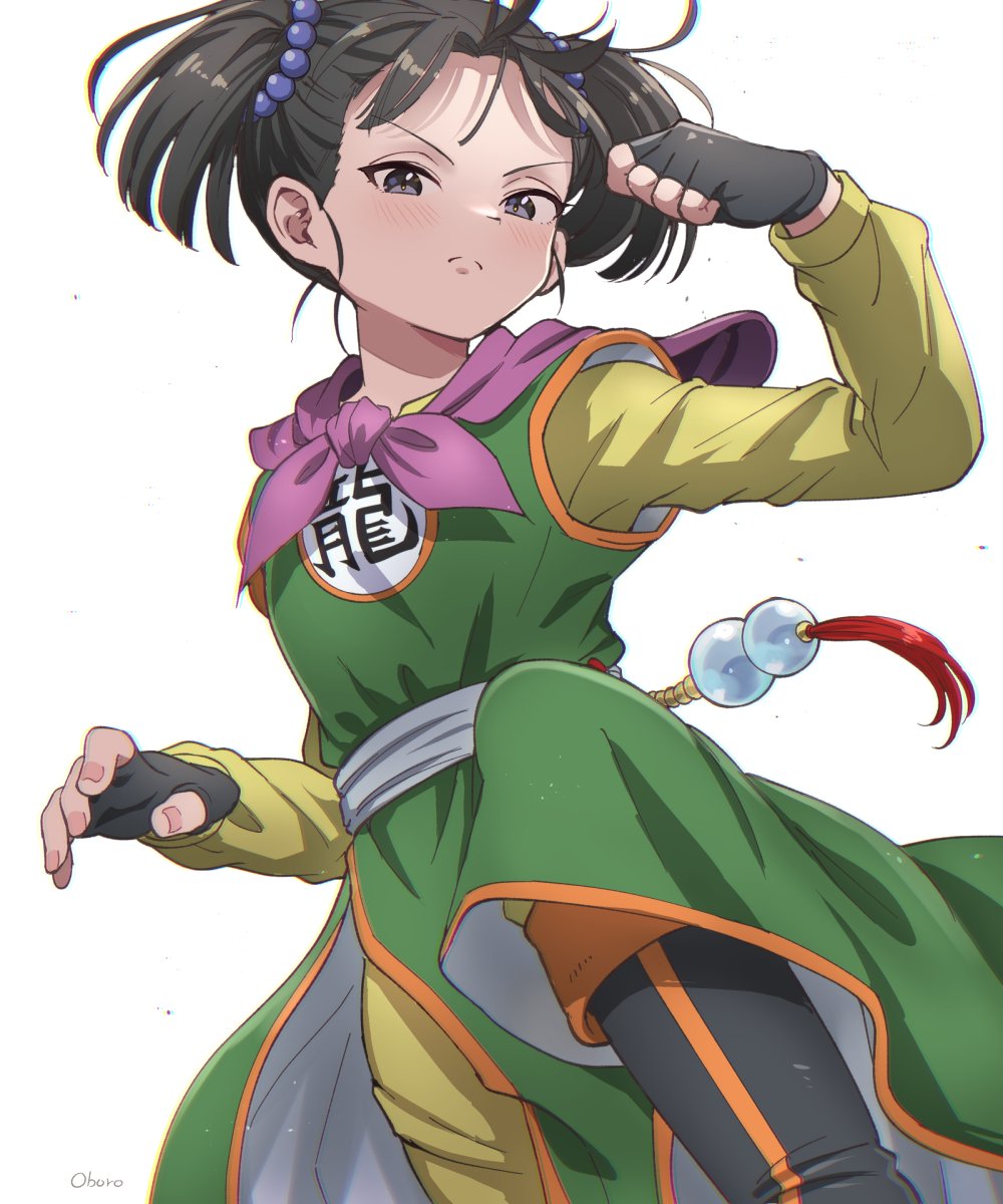 Martial Artist (Dq3) Rule 34 Image