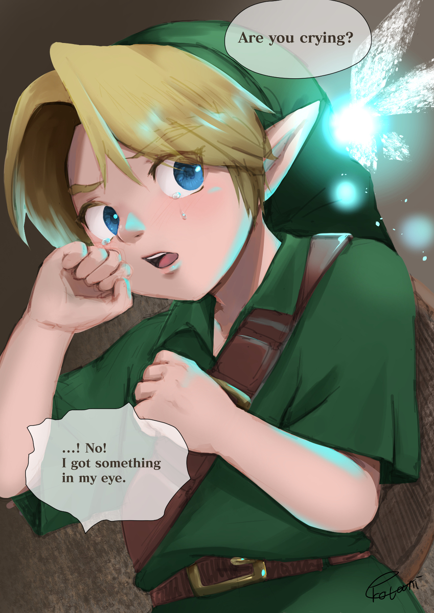 Link (Nintendo) Rule 34 Image