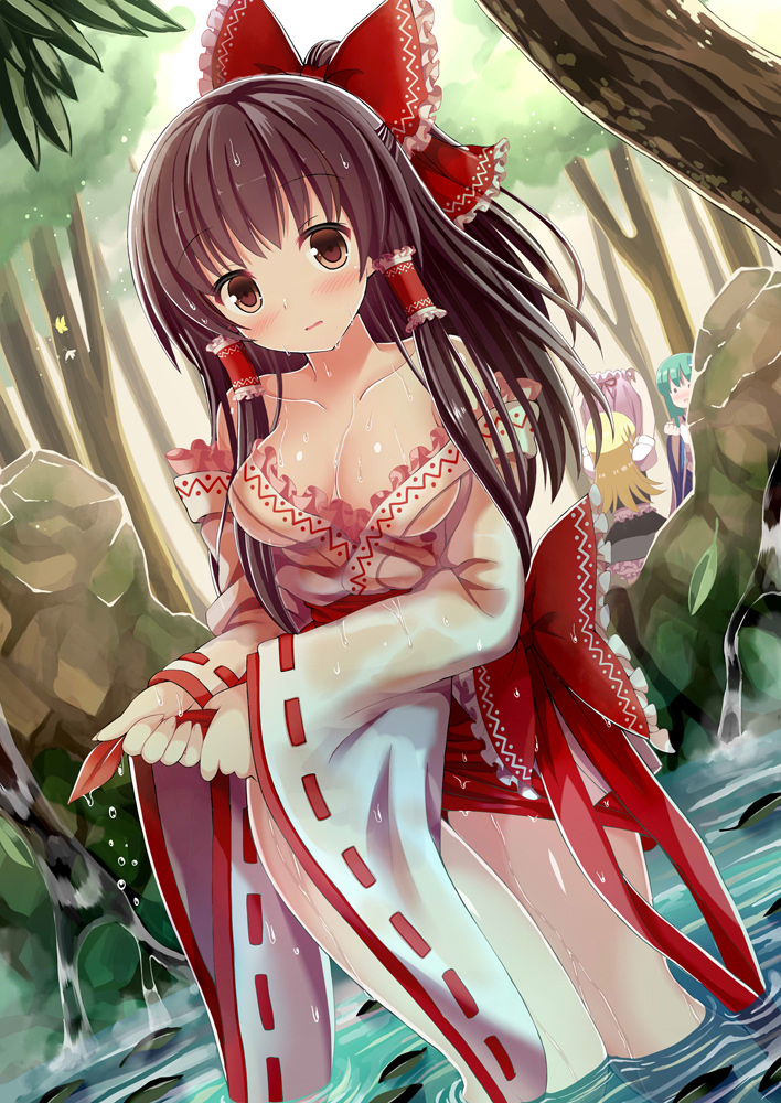 Hakurei Reimu (Touhou) Rule 34 Image