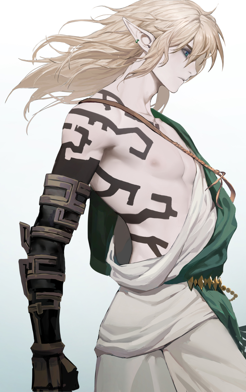 Link (Nintendo) Rule 34 Image