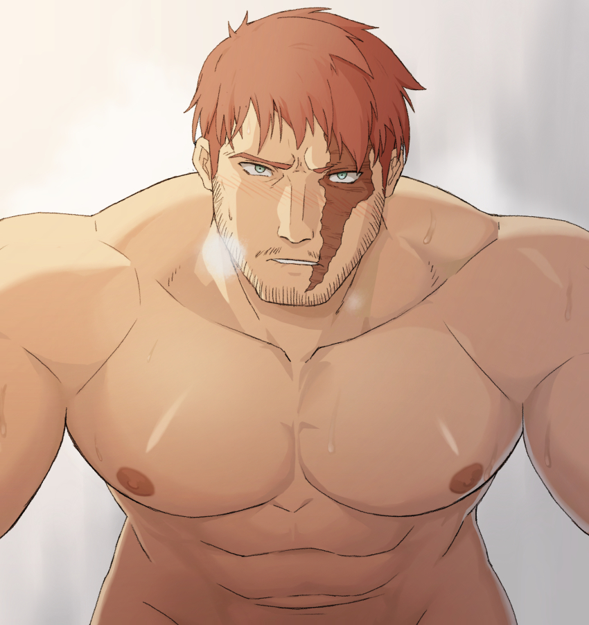 Endeavor (Boku No Hero Academia) Rule 34 Image