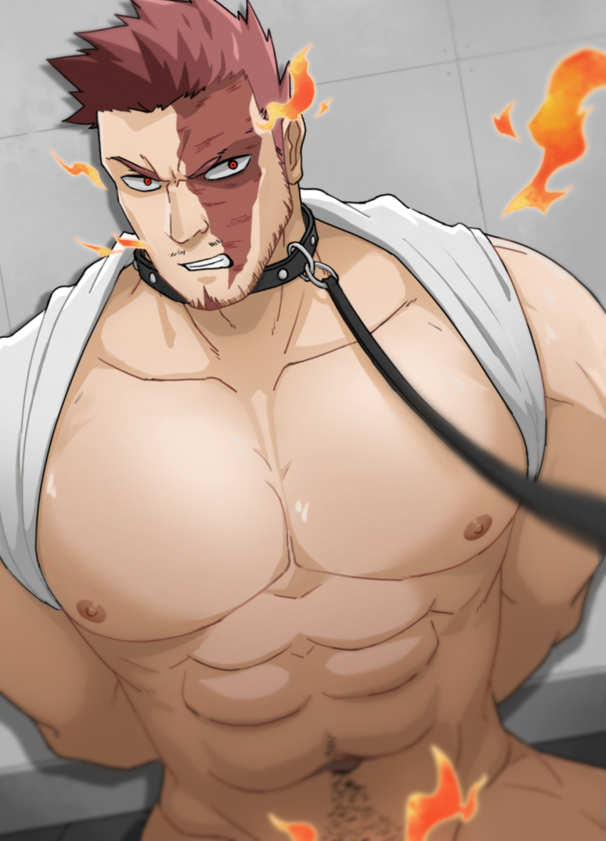Endeavor (Boku No Hero Academia) Rule 34 Image