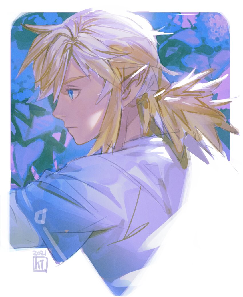 Link (Nintendo) Rule 34 Image