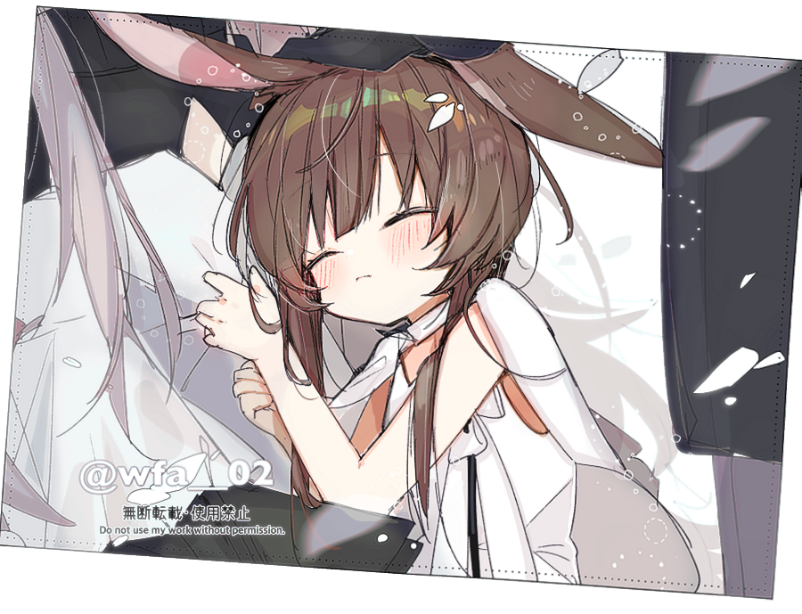 Amiya (Arknights) Rule 34 Image