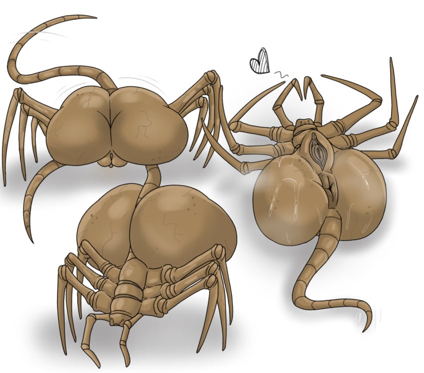 Facehugger (Alien (Franchise)) Rule 34 Image